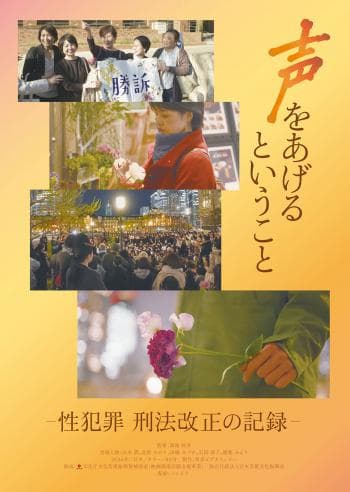 声をあげるということ─性犯罪 刑法改正の記録─